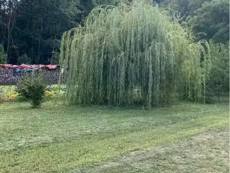 terrain à jardin