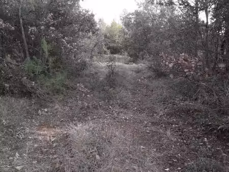 terrain 31 500 m² aups