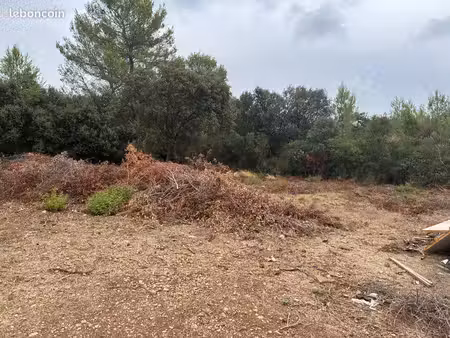 terrain à