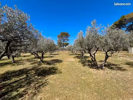 terrain 1 050 m² salernes