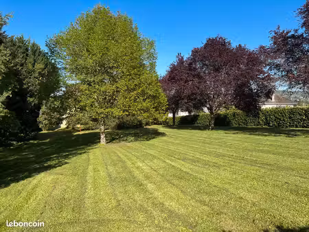 terrain constructible