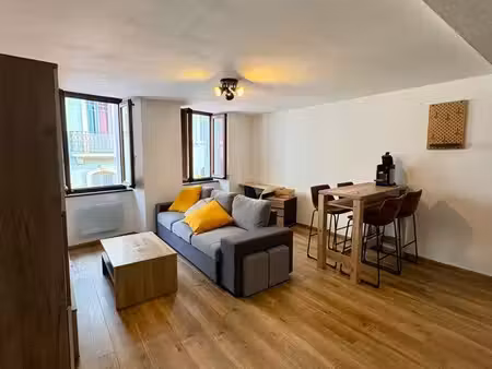appartement hyper centre proche embarcadère