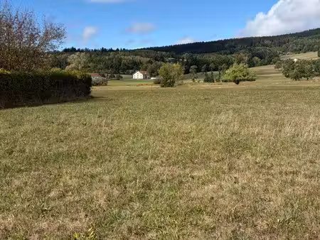 terrain constructible