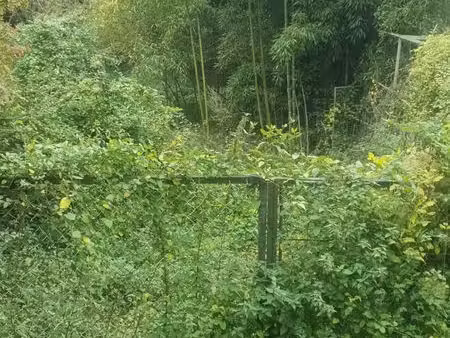 terrain à vendre dans l'yonne 89