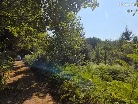 terrain 16 790 m² le tholy