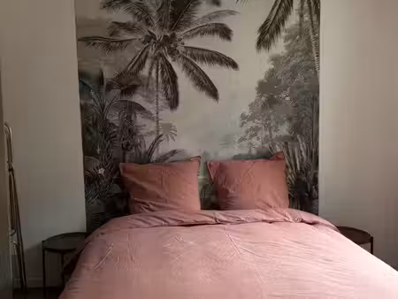 duplex 2 pièces