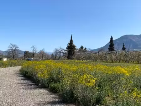 terrain 786 m² ventavon