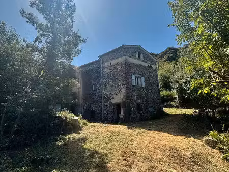 maison avec jardin