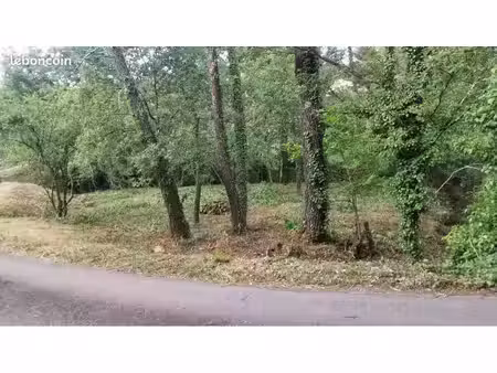 terrain constructible