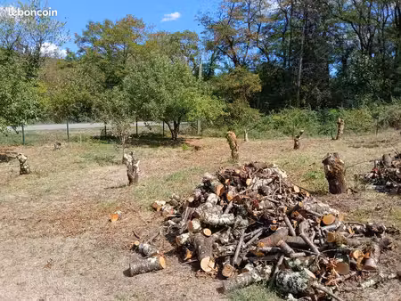 terrain constructible