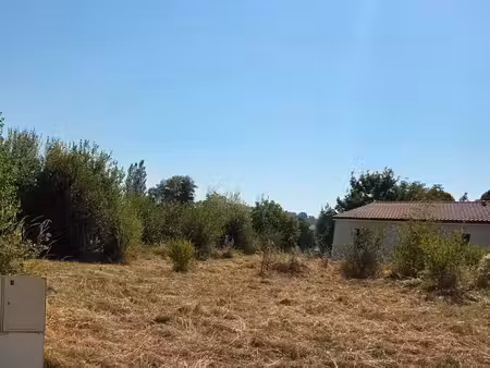 terrain constructible