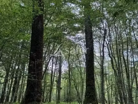 terrain 75745 m² sens