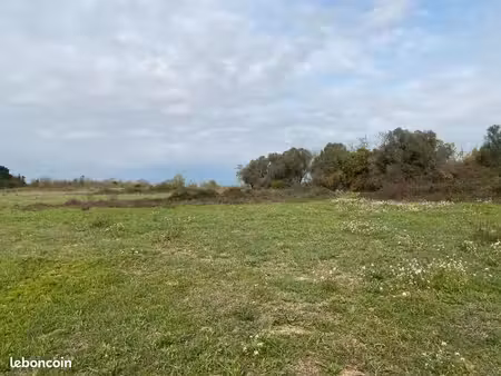 terrain 453 m² salles d aude