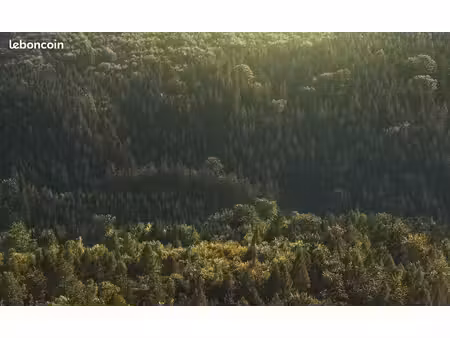achète parcelles forêt/prairies