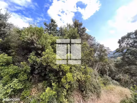 terrain 1 860 m² cervione