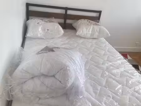 rental bright room in big flat