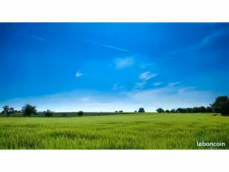 terrain 450 m² courdimanche
