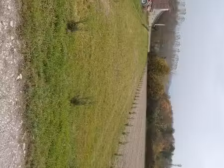 terrain 1100m2