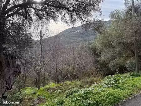 à vendre terrain santa maria di lota