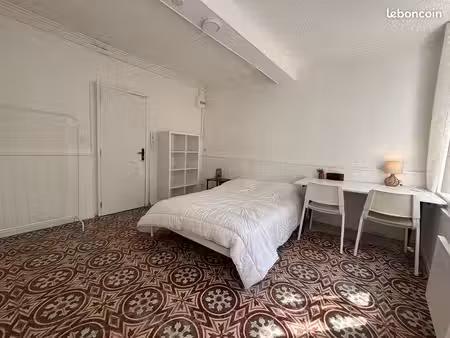 studio rdc centre-ville carcassonne