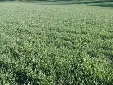 vends terres agricoles