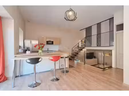 loft d´architecte à caluire secteur quais de saône ile barbe