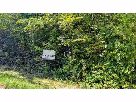 terrain a usage de jardin.entre brive et le bourg de cosnac