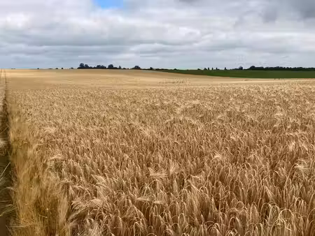 cherche investisseur(s) pour achats de terrains agricoles