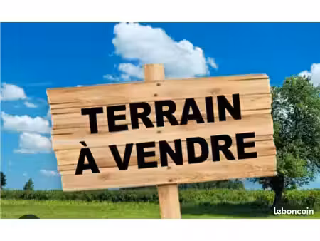 terrain constructible