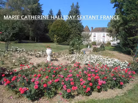 marie-catherine halliday