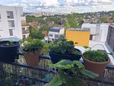 lumineux 3 pièces avec balcon sud – bagneux (rer b bourg la reine)