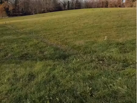 terrain pour animaux