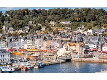 local commercial honfleur