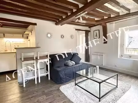 appartement meublé 23m2 centre ville
