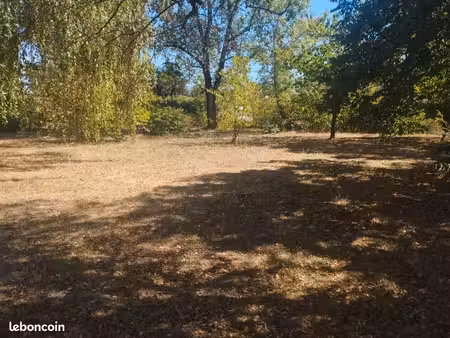 joli terrain arboré 620 m2
