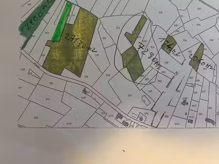 bois et forêt