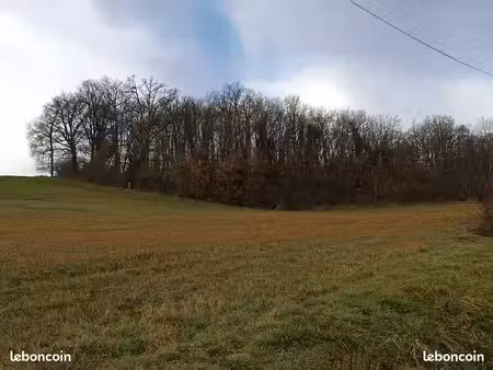 4 terrains loisirs boisé ou déboisé isolé terre bois chêne 3103m2 2973m2 1130m2 637m2