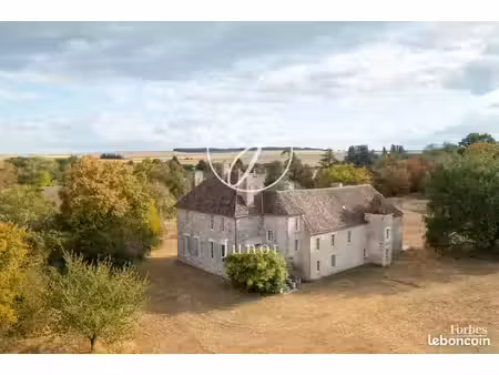 chateau 10 pièces 484 m²