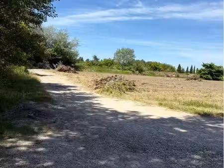 terrain agricole