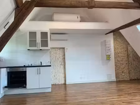 t3 bis atypique plein cœur ville