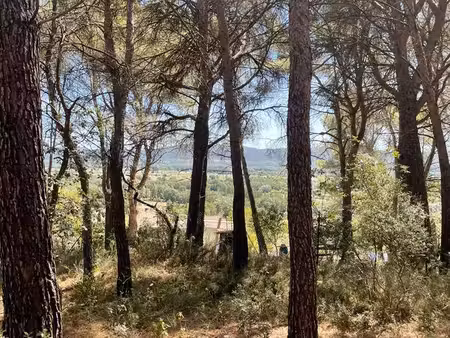 charmant terrain boisé de 3 856 m² à cadenet – secteur pumian