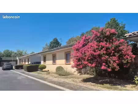 villa t4