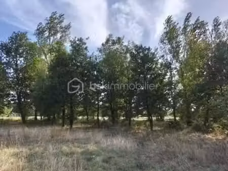terrain 2 022 m² montauban
