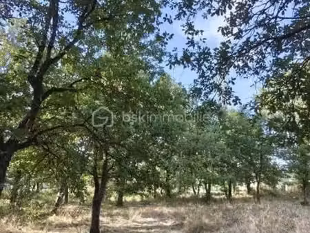 terrain 1 408 m² saint nauphary