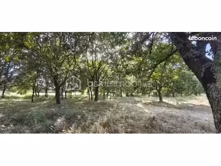 terrain 1 645 m² saint nauphary