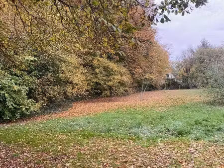 terrain constructible arboré