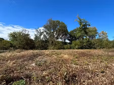 terrain à vendre boisseuil