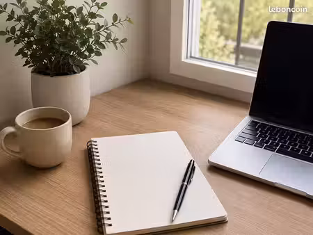 recherche appartement/maison à louer – émilie – dossier sérieux – disponible rapidement