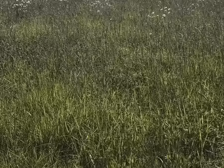 terrain à bâtir de 770 m2 au prix de 13860 à saint-cyr-des-gats (85)