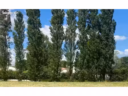 terrain 1 985 m² le fenouiller